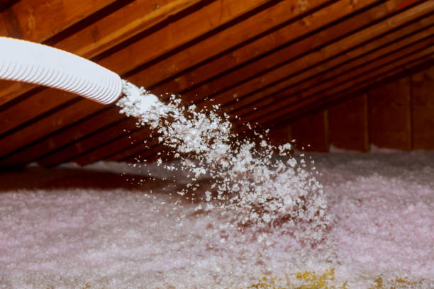 Best DIY Insulation Kits and Guidance in Princeton, WV