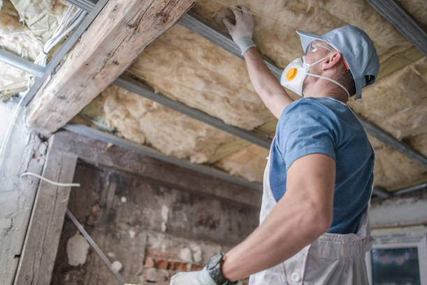 Best Commercial Insulation in Princeton, WV